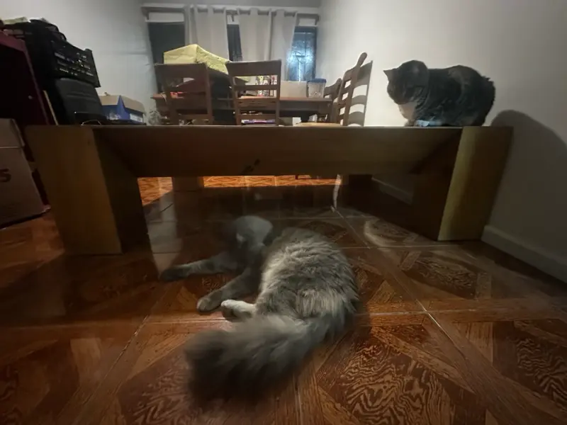 Mesa de centro rústica de madera y piedra - 4