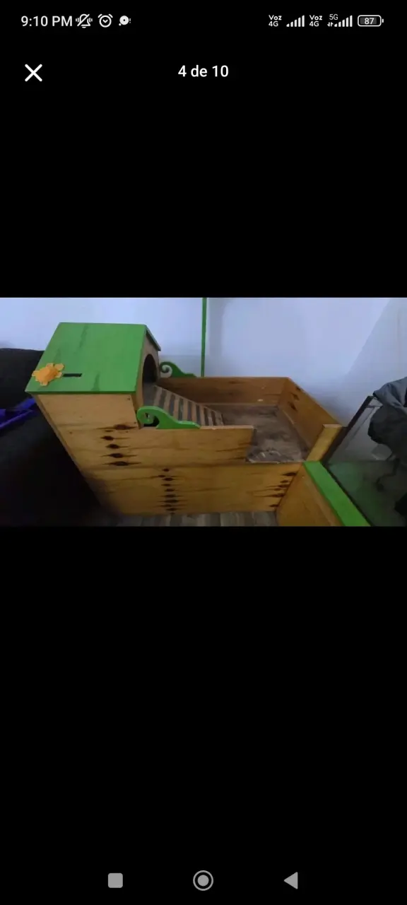 Terrario Reptil - 1
