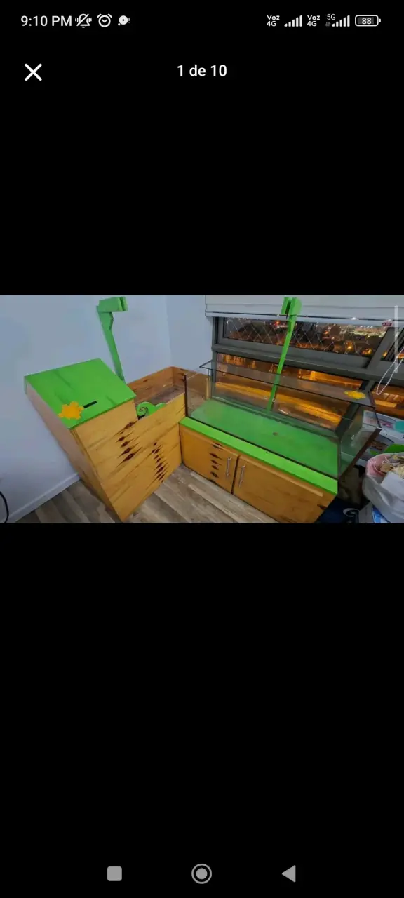 Terrario Reptil - 2