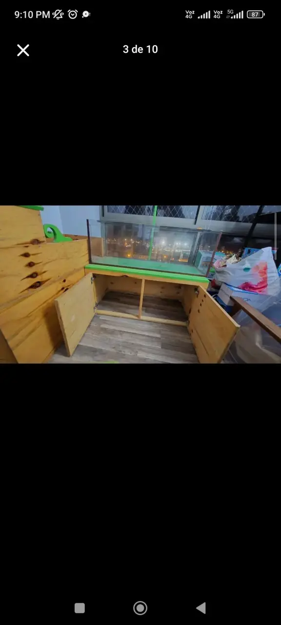 Terrario Reptil - 3
