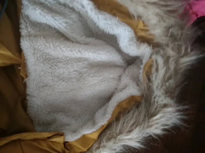 Chaqueta acolchada amarilla con cierre - 3