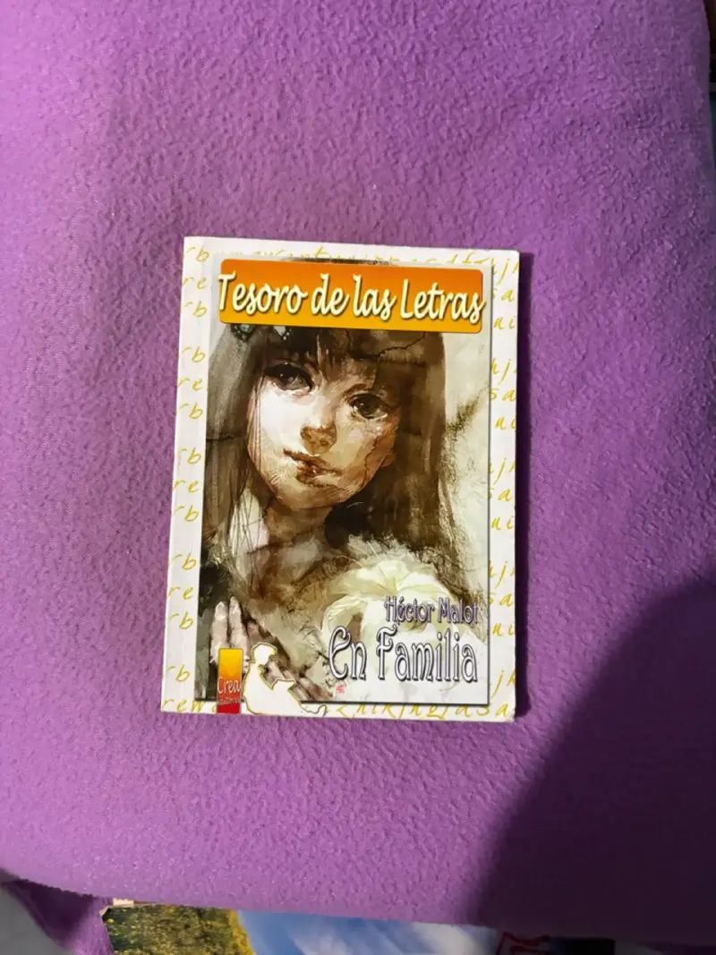 Libro 'En Familia' de Héctor Malot - 1