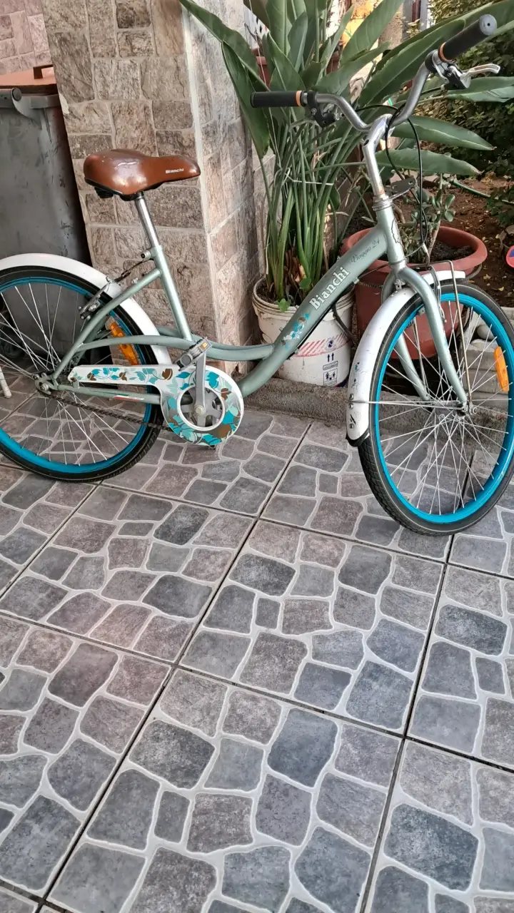 Bicicleta en buen estado - 2