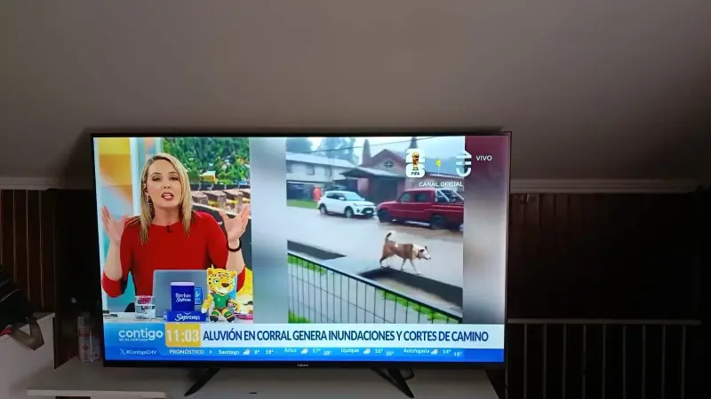 Televisor LED de 55 pulgadas Full HD - 1