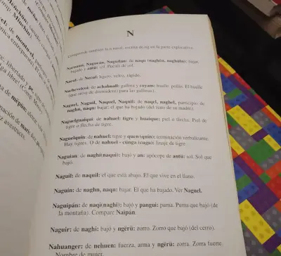Apellidos Huilliches Mapuches Pehuenches - miniatura 4