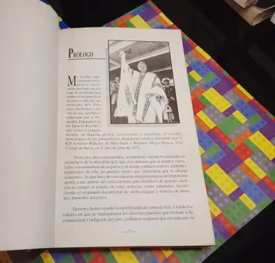 Apellidos Huilliches Mapuches Pehuenches - miniatura 5