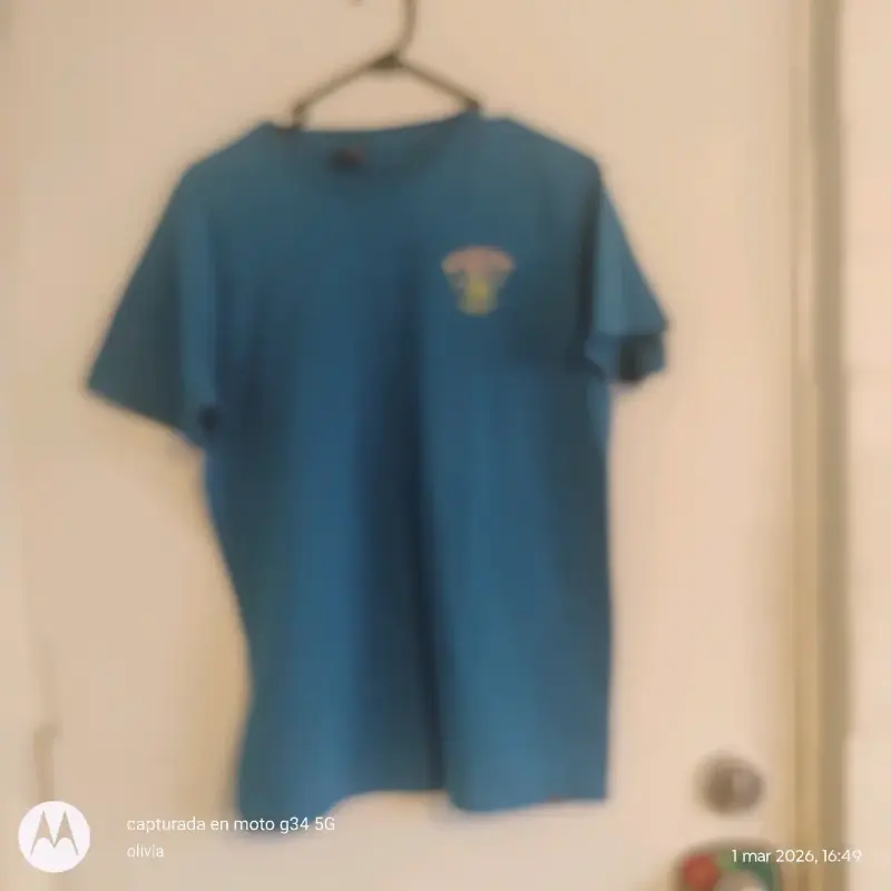 Polera azul con diseño estampado - 1