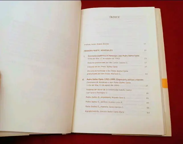 Libro Pedro Ibáñez Ojeda - Biografía - 2