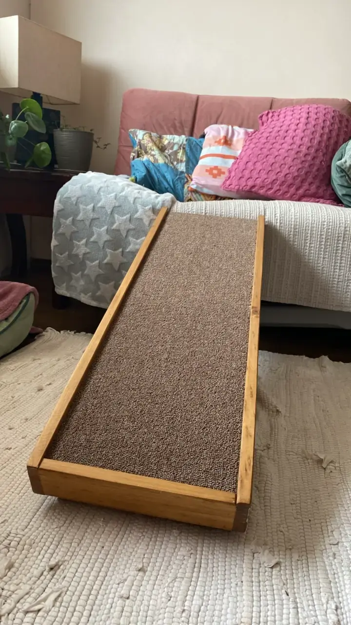 Rampa para mascotas de madera y alfombra - 1