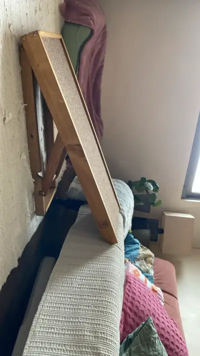 Rampa para mascotas de madera y alfombra - miniatura 2