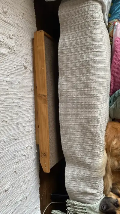 Rampa para mascotas de madera y alfombra - miniatura 6