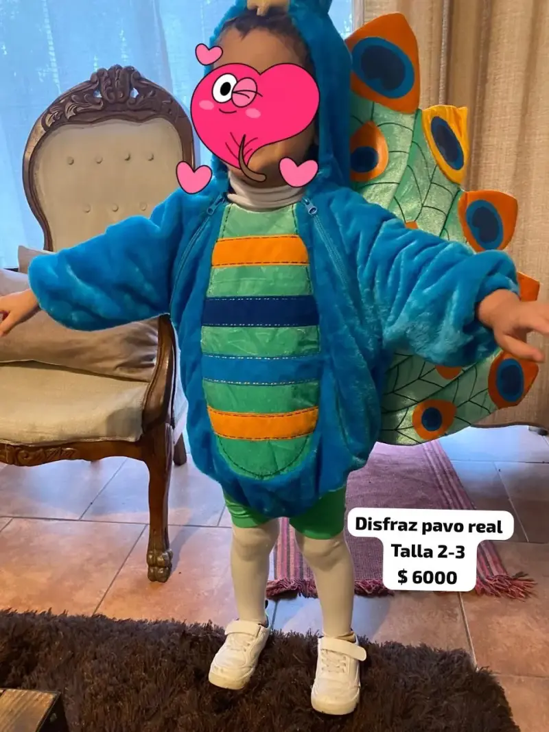 Disfraz de pavo real para niño talla 2-3