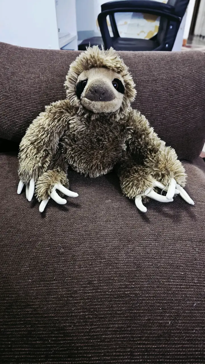 Peluche de perezoso suave y tierno