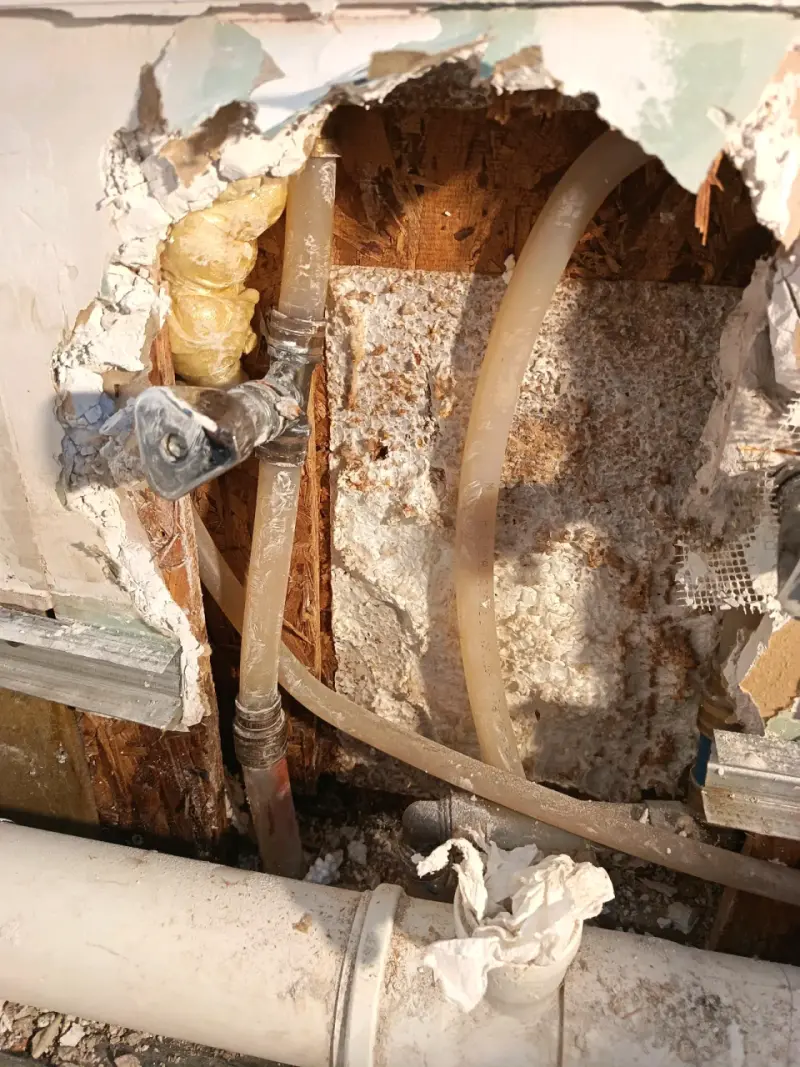 Detección y reparación de fugas de agua - 2