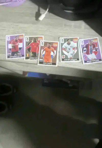 Colección de láminas de fútbol Panini - miniatura 1