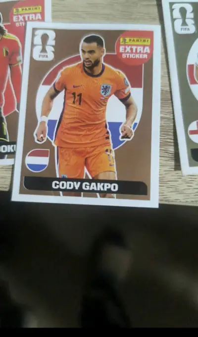 Colección de láminas de fútbol Panini - miniatura 4
