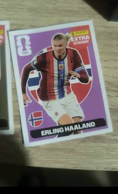 Colección de láminas de fútbol Panini - miniatura 6