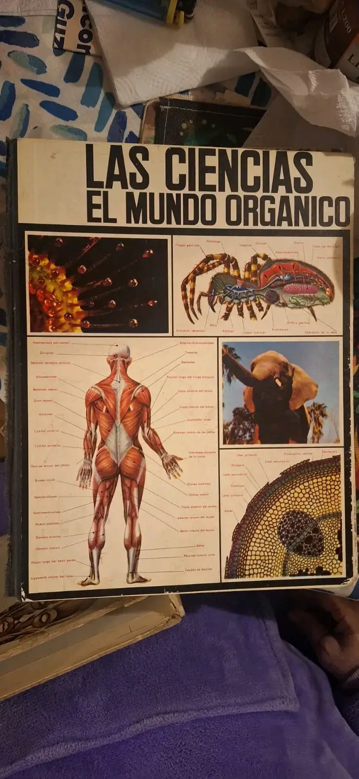 Libro 'Las Ciencias: El Mundo Orgánico' - 1