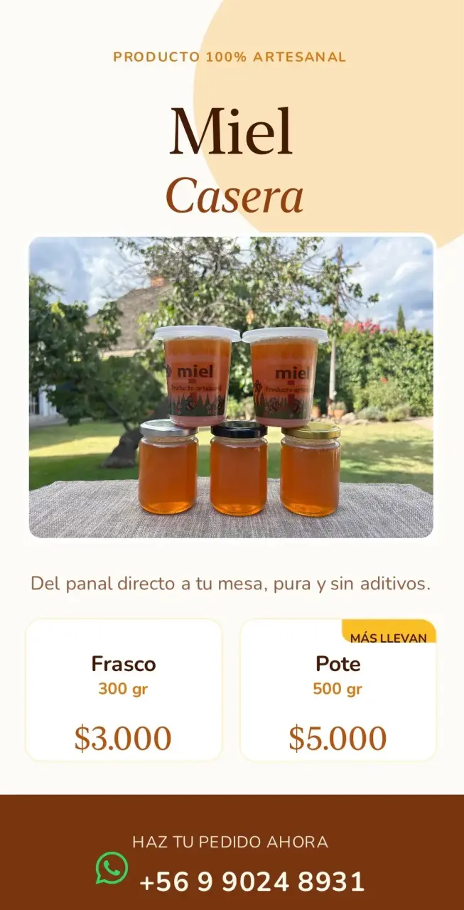 Miel casera artesanal 300g