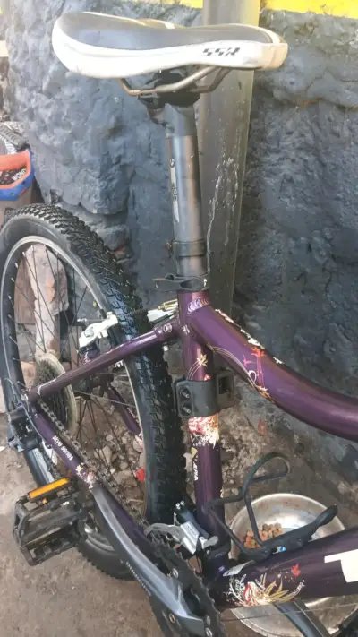 Bicicleta Trek de montaña usada - miniatura 4