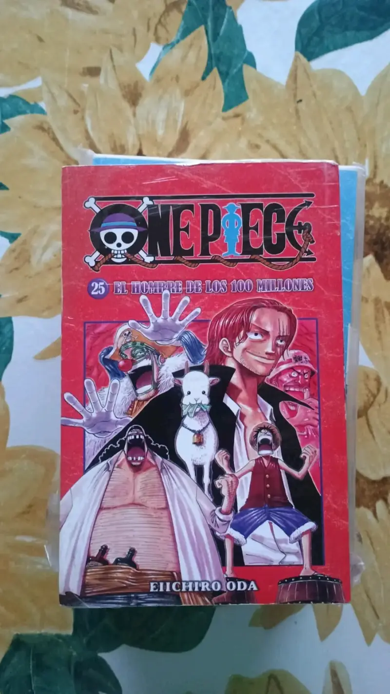 Colección de mangas One Piece - 2