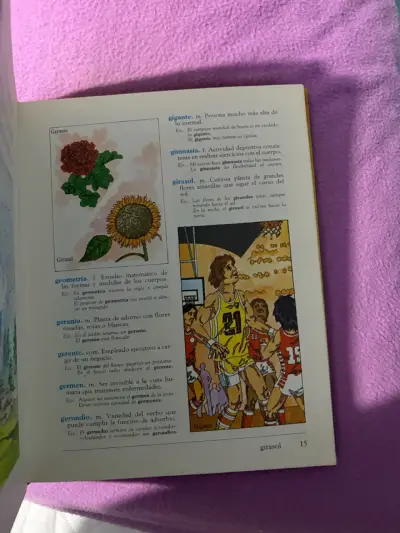Mi Primer Gran Diccionario Ilustrado Volumen 2 - miniatura 2