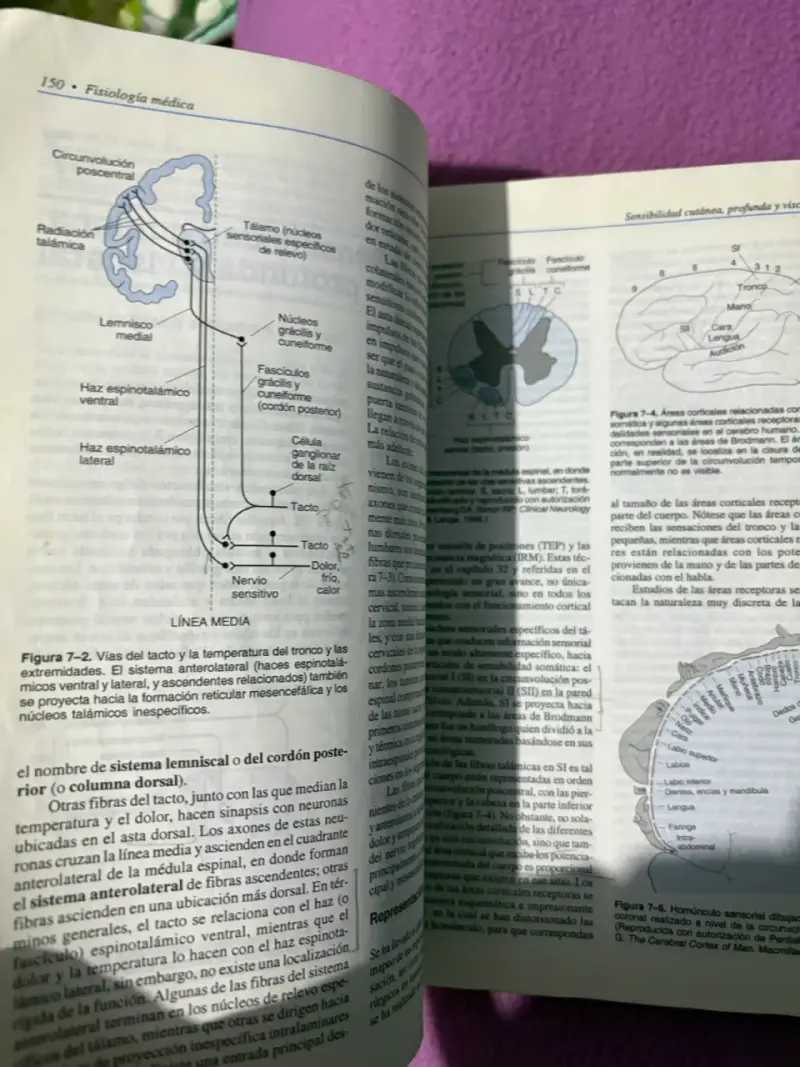 Libro Fisiología Médica 17a edición usado - 2