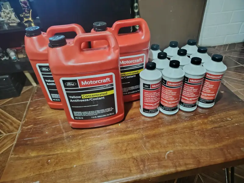 Anticongelante y líquido de frenos Motorcraft - 1