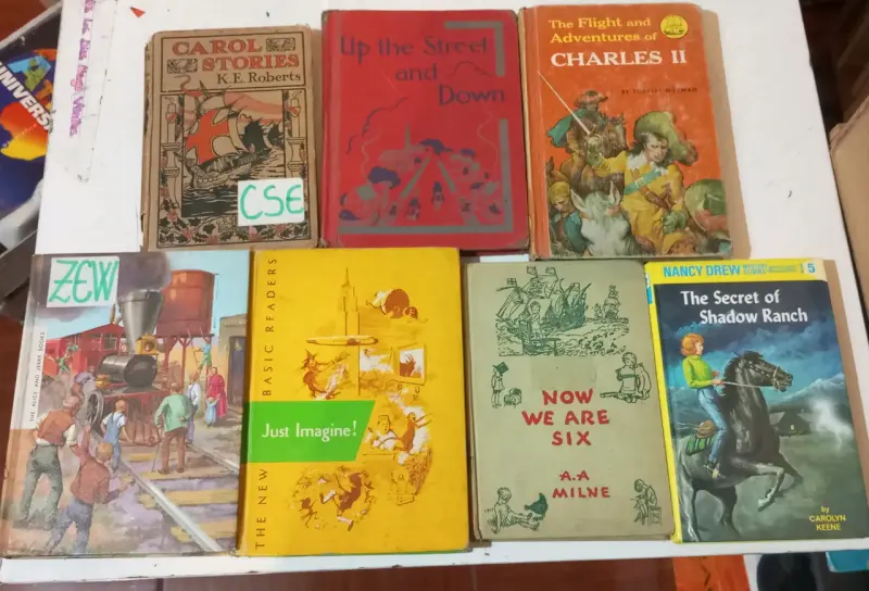 Lote libros infantiles en ingles