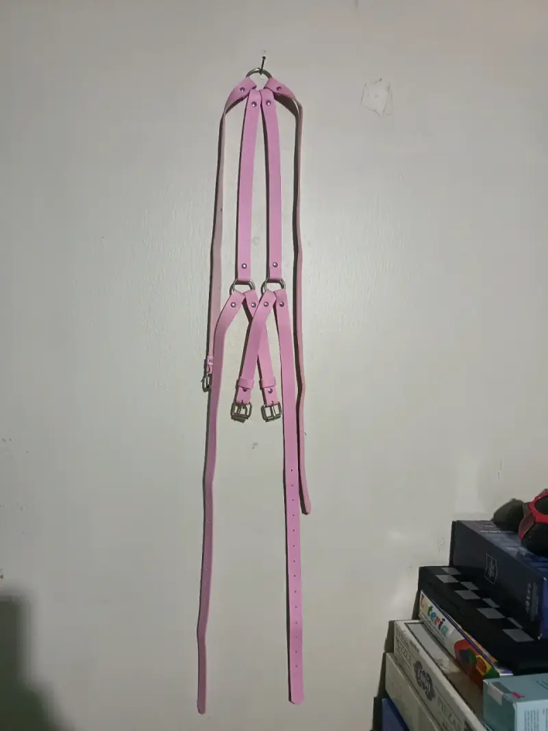 Arnés de cuerpo rosa - 1
