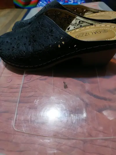 Zapatillas negras de cuero calado Palizzio - miniatura 4