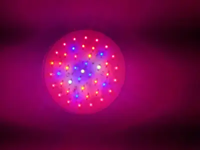LED UFI Power Grow para cultivo interior - miniatura 3