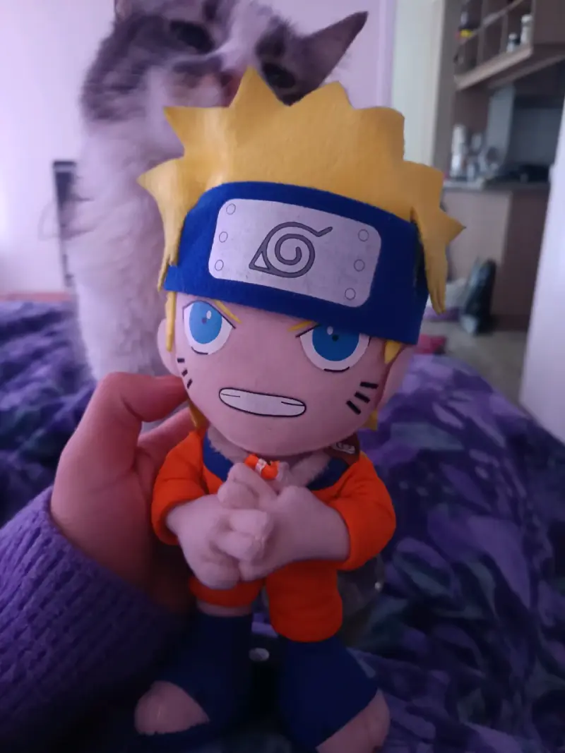 Naruto - 1