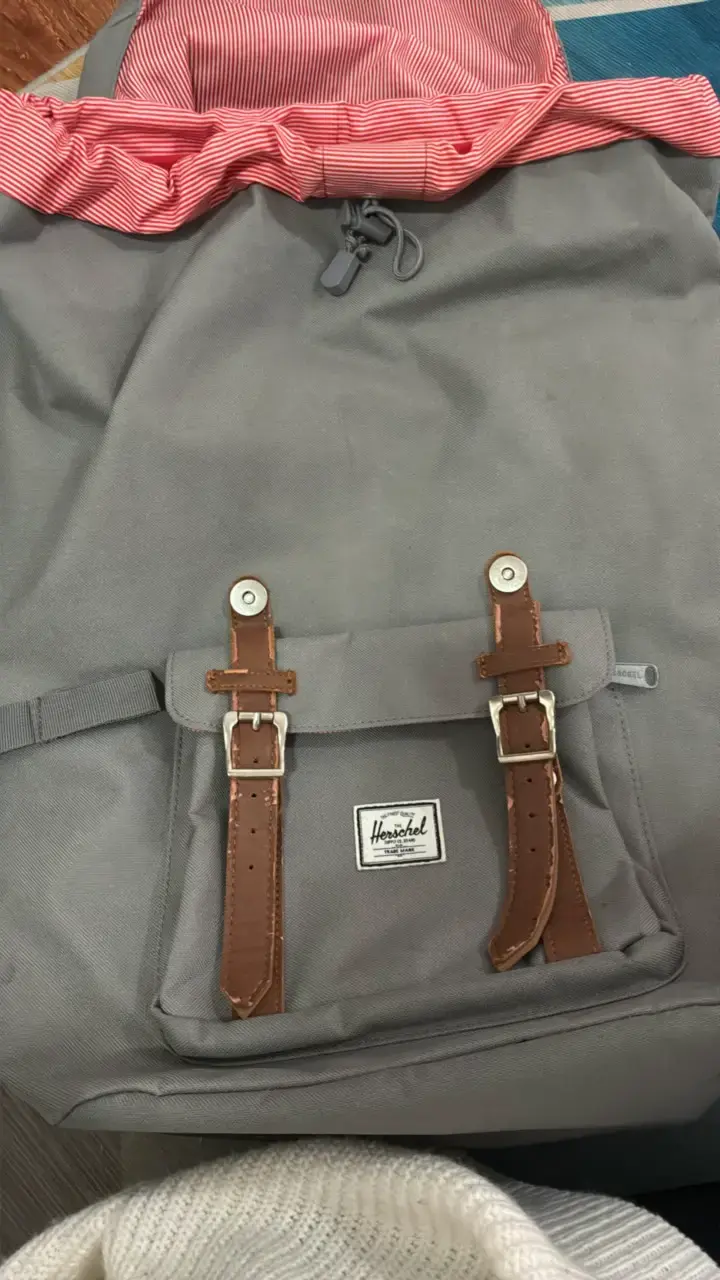 Mochila Herschel little America gris - 1