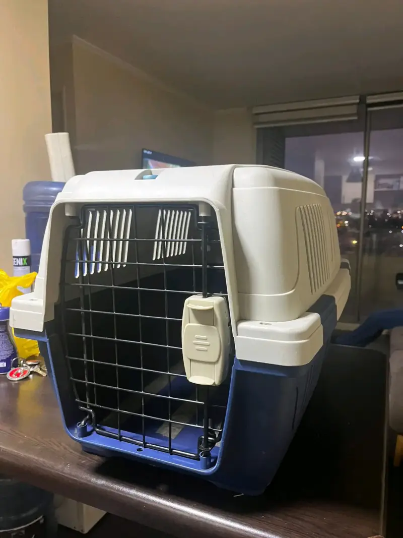 Transportadora de mascotas mediana azul y blanca - 1