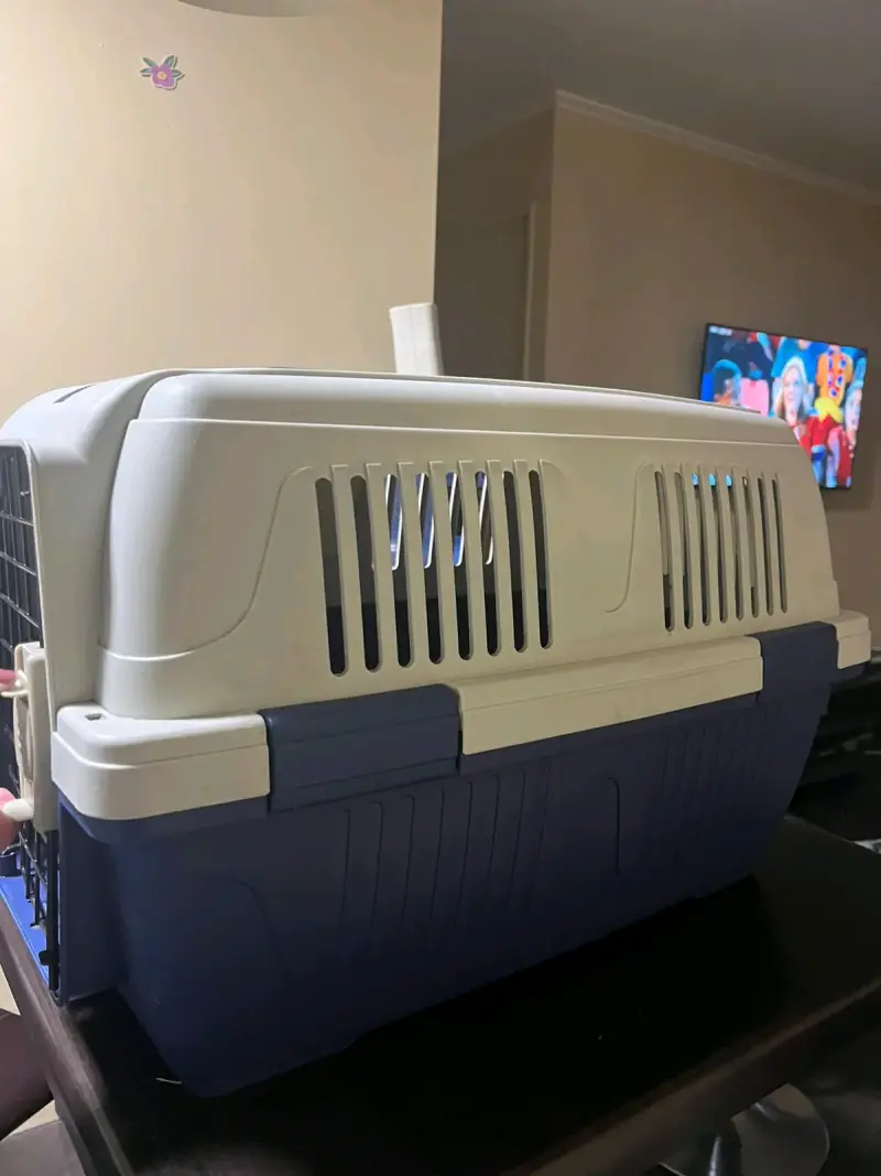 Transportadora de mascotas mediana azul y blanca - 3