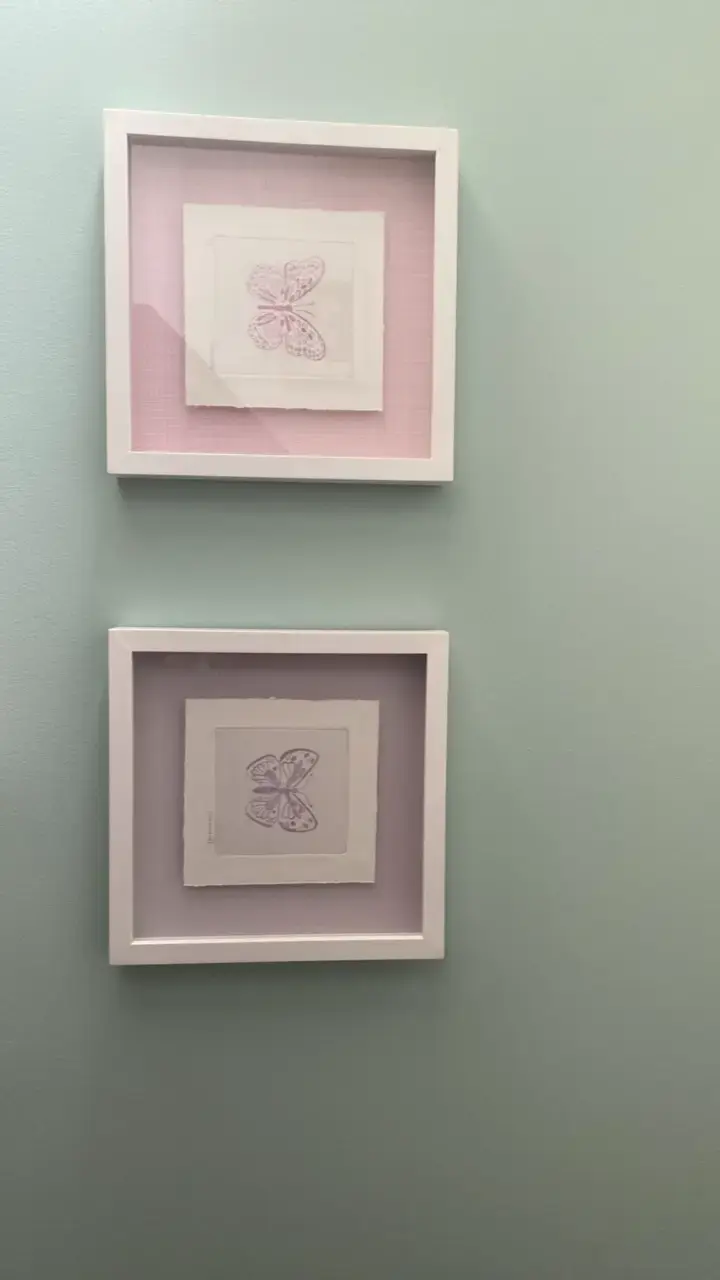 Dos cuadros decorativos grabados mariposas enmarc - 1