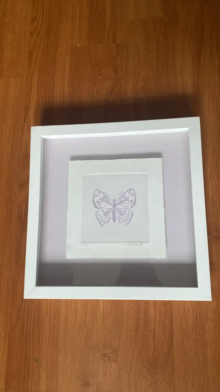 Dos cuadros decorativos grabados mariposas enmarc - 2