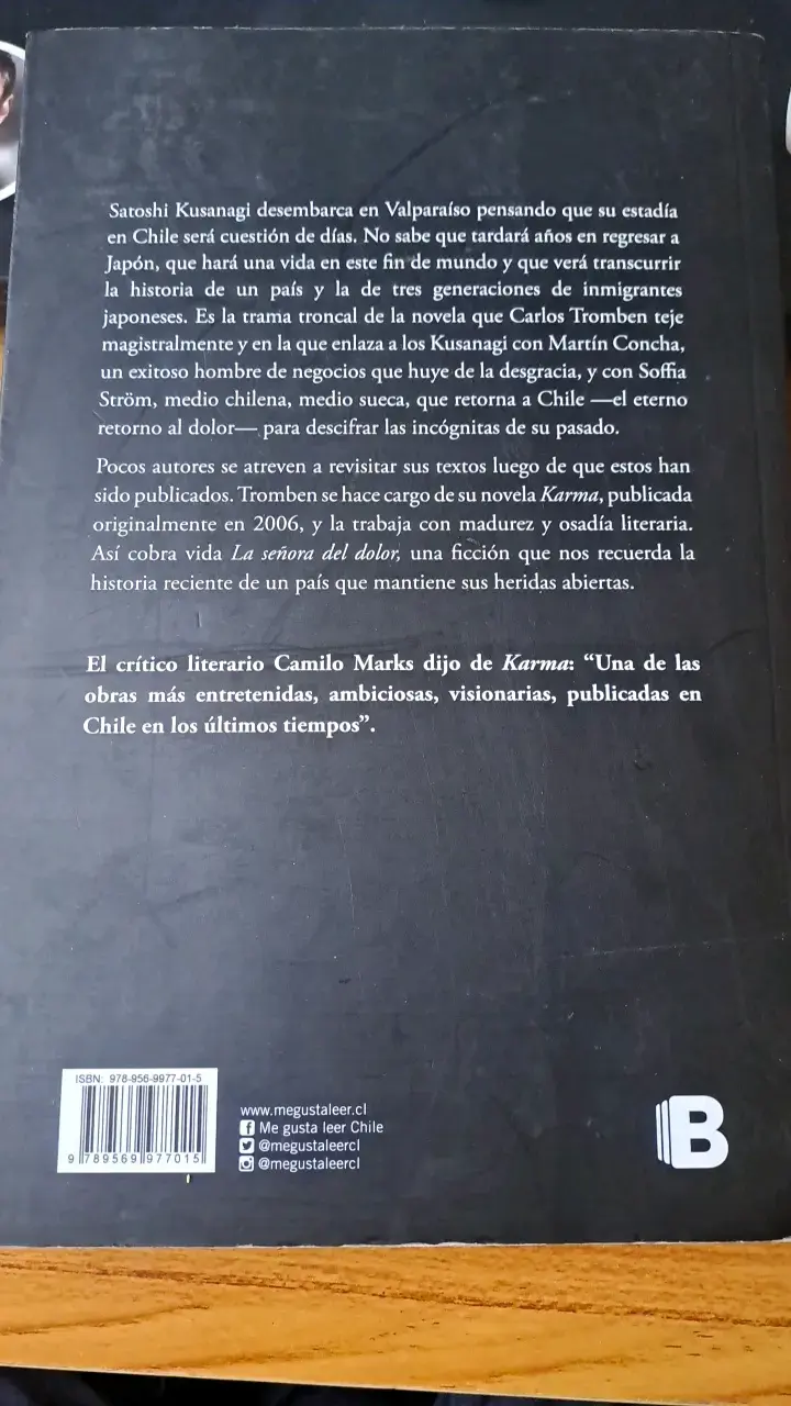 Libro 'La Señora del Dolor' de Carlos Tromben - 2
