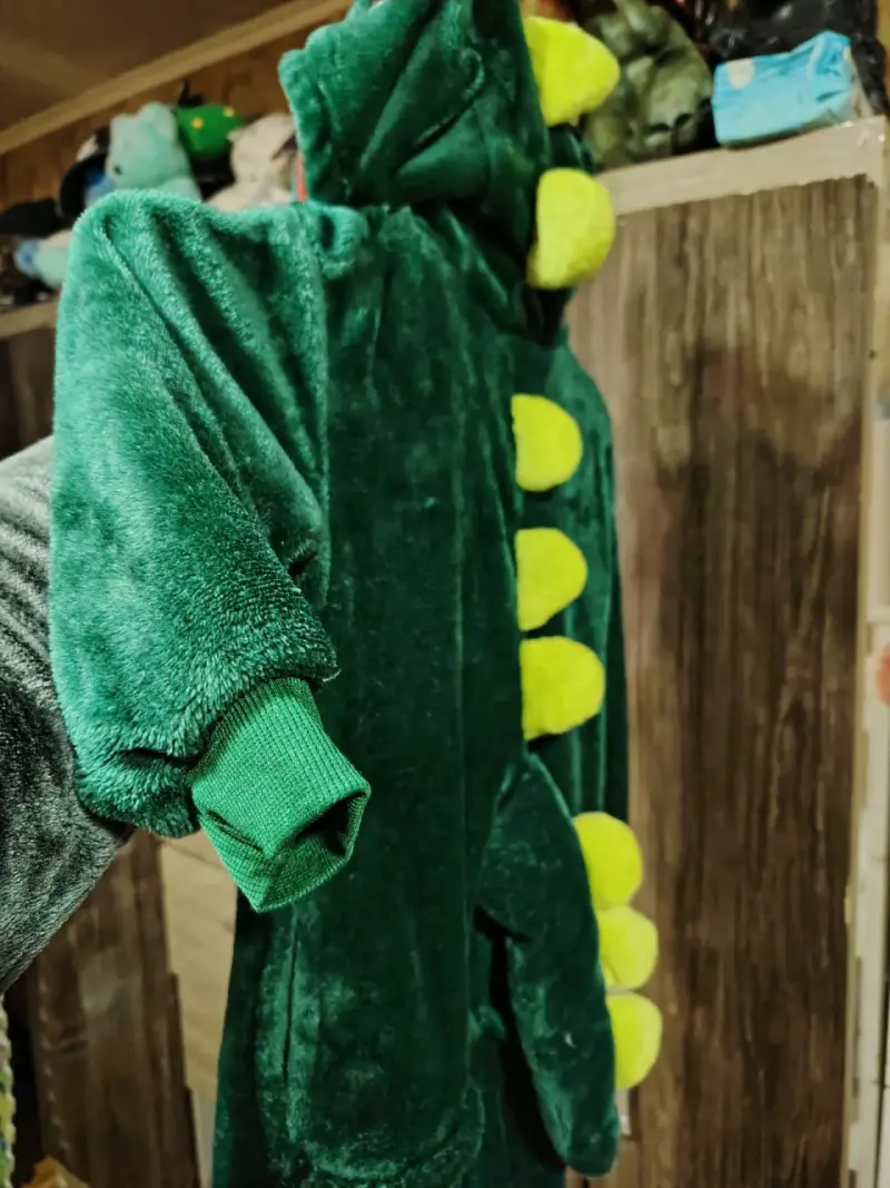 Disfraz de dinosaurio para niños - 3