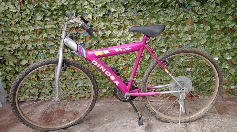 Bicicleta Dinosa rosa para adultos