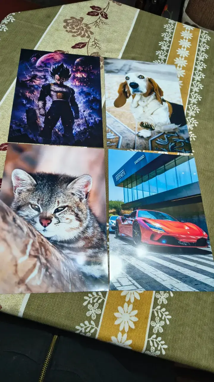Cuadros de aluminio personalizables 20x30 cm - 2