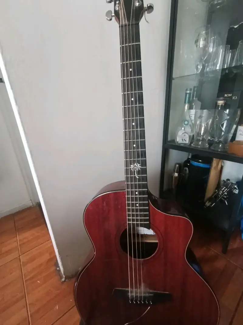 Guitarra acústica Palmer de madera roja - 2