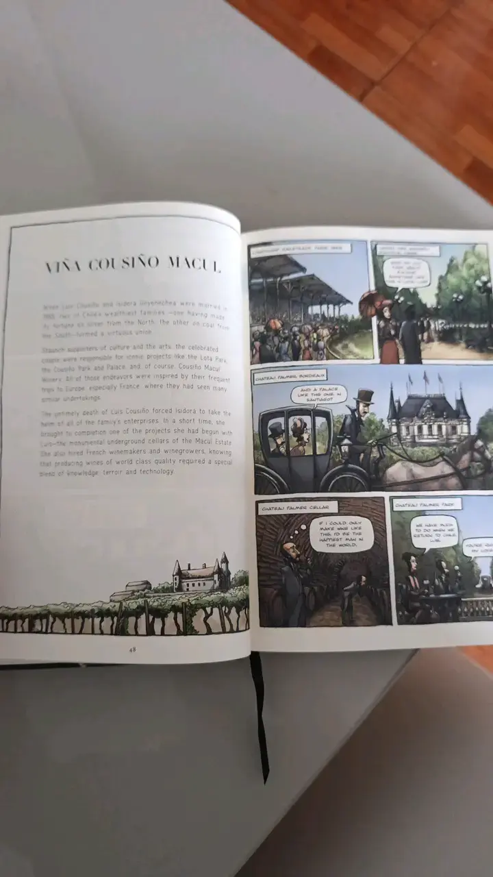 Libro 'Chilean Wine' de Rodrigo Alvarado - 2