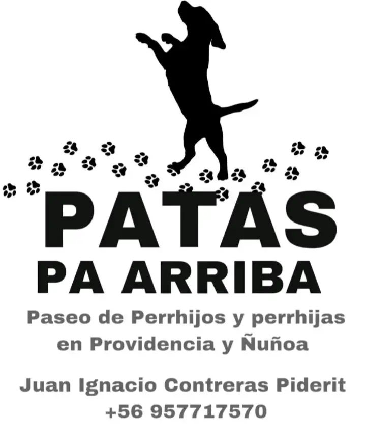 Paseo perrhijos y perrhijas - 1