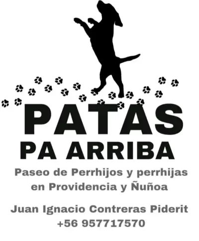 Paseo perrhijos y perrhijas - miniatura 1