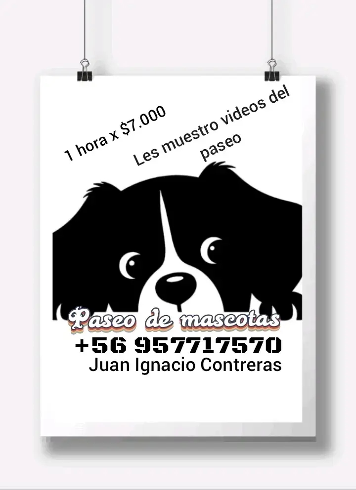 Paseo perrhijos y perrhijas - 2