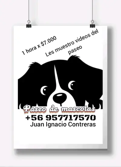 Paseo perrhijos y perrhijas - miniatura 2