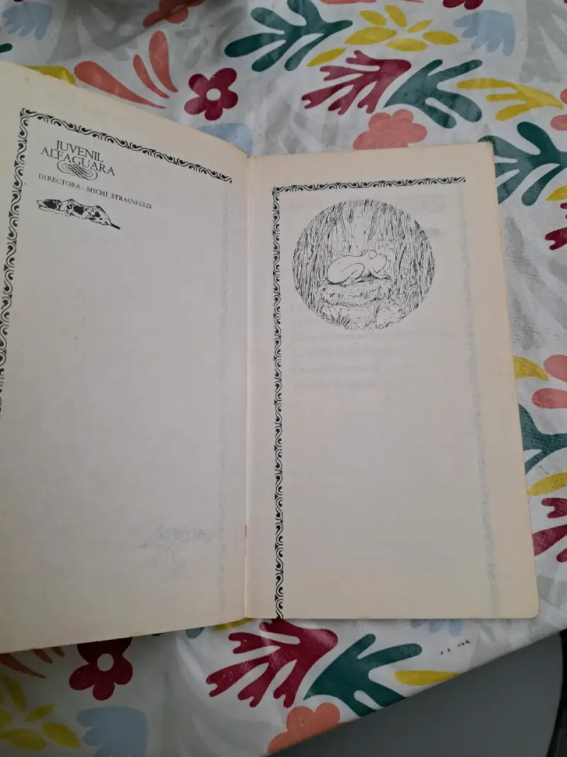 Libro 'La rana solitaria' de Erwin Moser - 3
