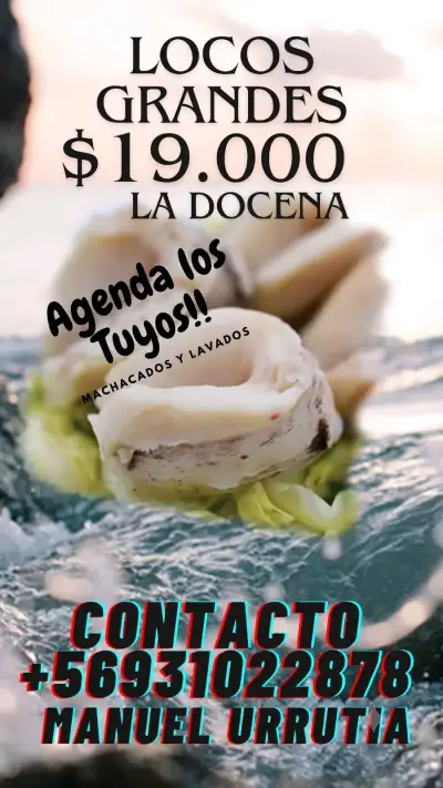 Locos grandes frescos por docena - miniatura 1